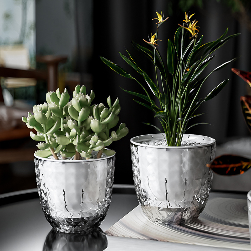 Aloe Vera Pot - Transparent Plastic Lazy Planter for Green