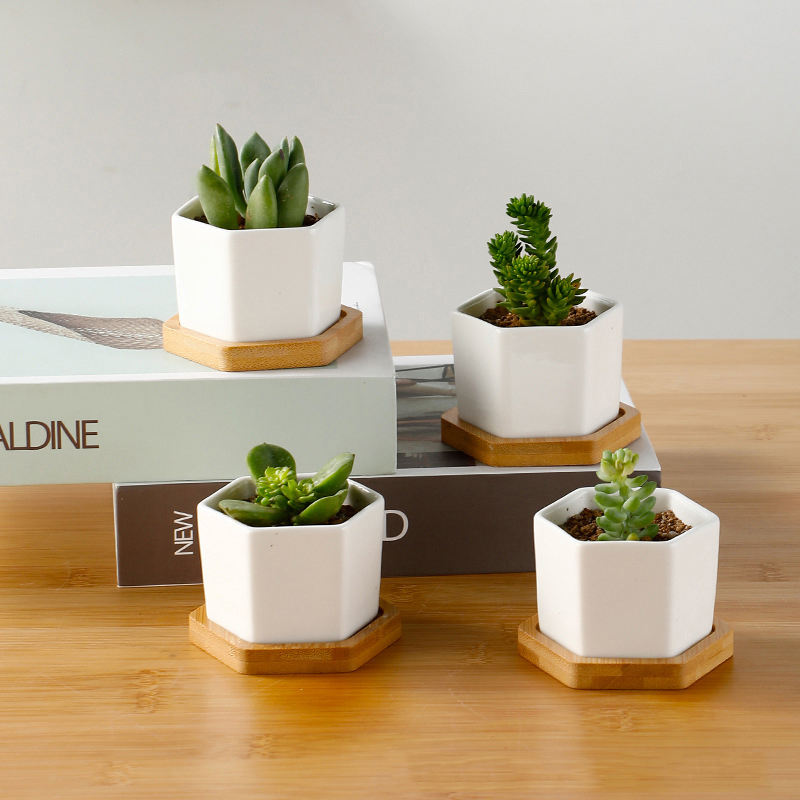 Aloe Vera Pot - Ceramic Flowerpot White Hexagon Ceramic Pot