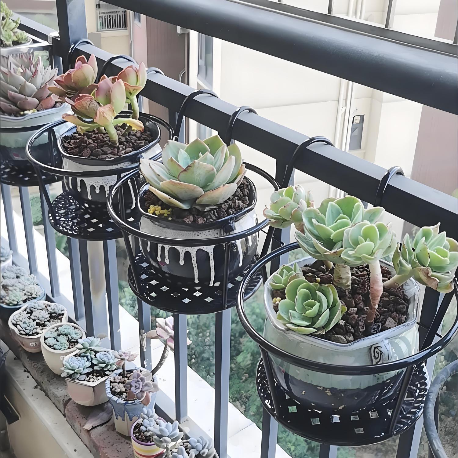 Wrought Iron Balcony Hanging F - огляд і ціна Spider Plant Hanging