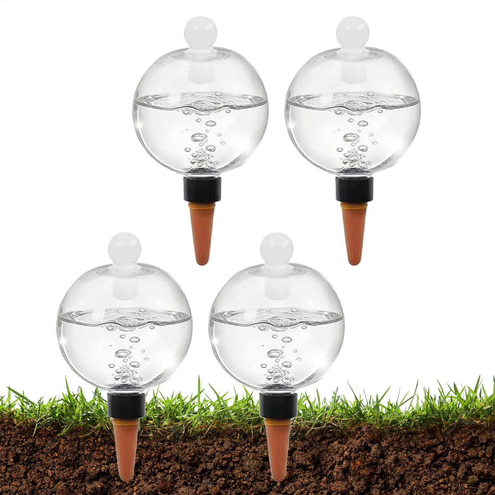Plant Watering Bulbs 4pcs 500m - огляд і ціна Echeveria Succulent