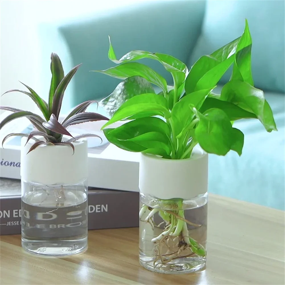 Mini Hydroponic Flower Pot Tra - огляд і ціна Aloe Vera Pot