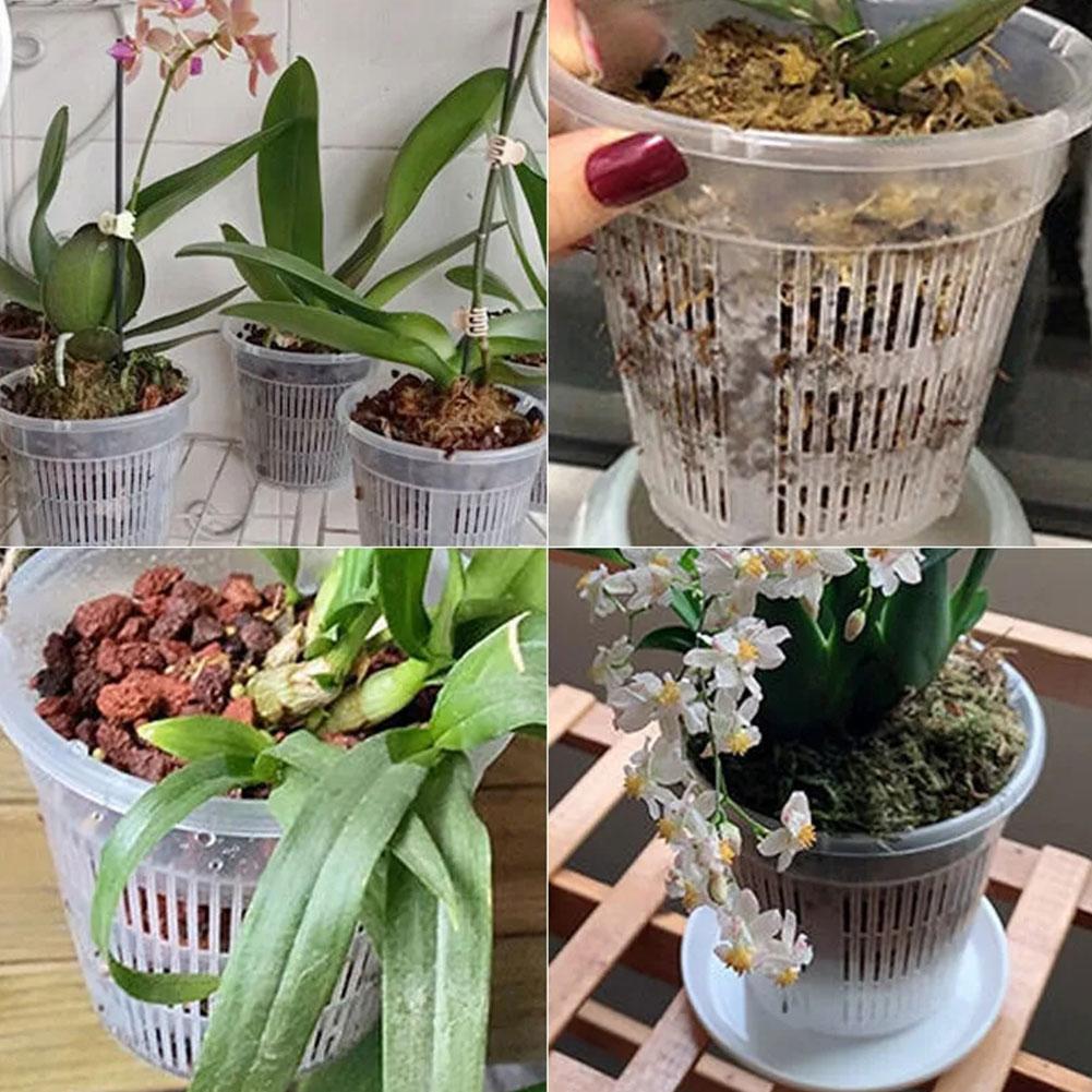 Mesh Pot Root Control Transpar - огляд і ціна Aloe Vera Pot