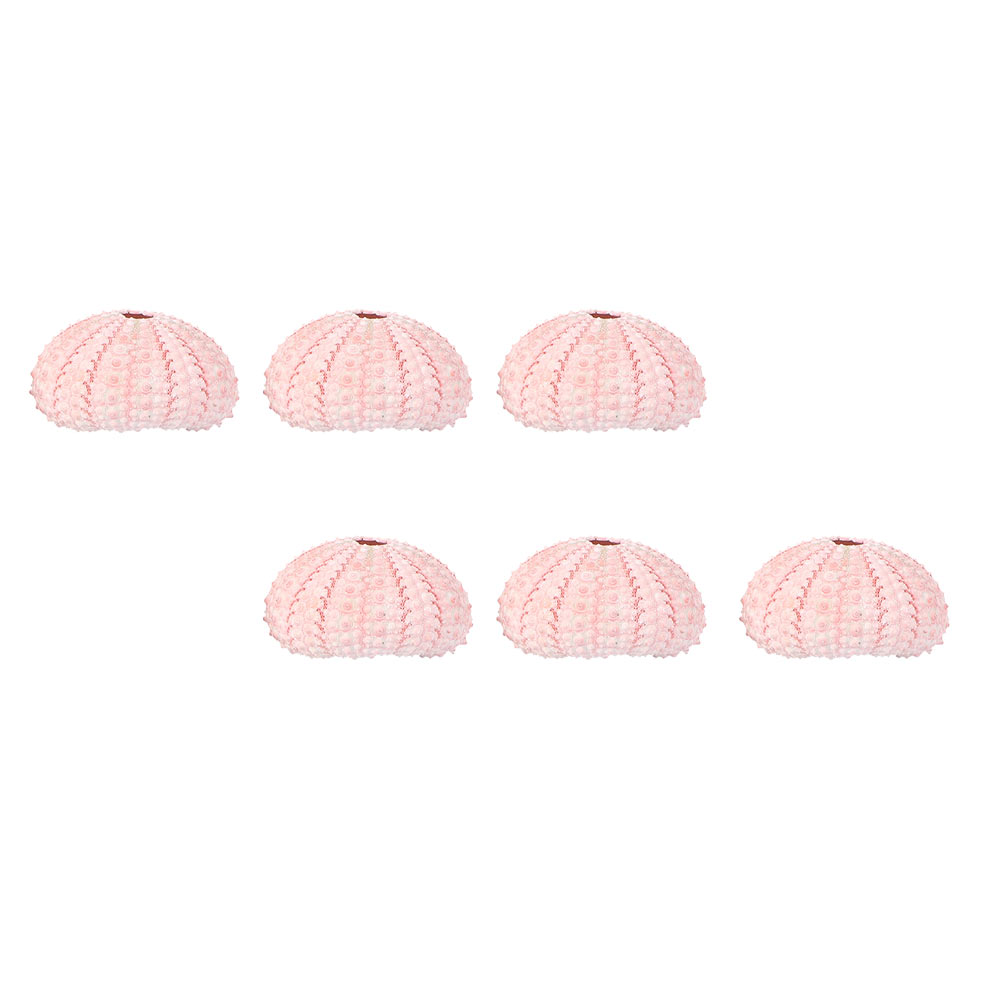 6 Pcs Decorate Sea ​​urchin Sh - огляд і ціна Aloe Vera Pot