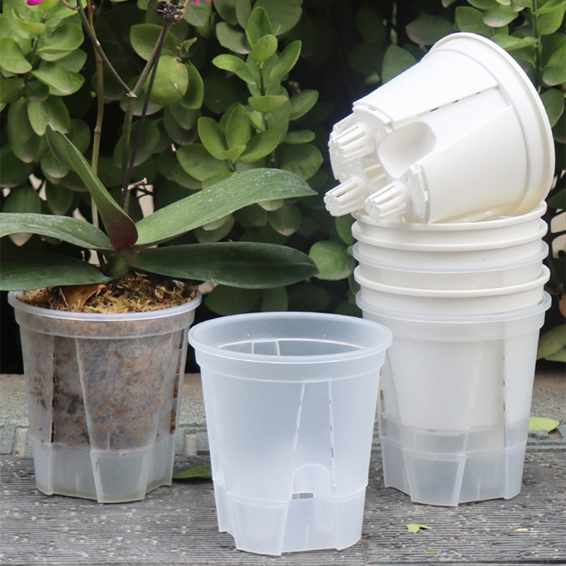 5pcs Transparent Orchid Pot wi - огляд і ціна Aloe Vera Pot